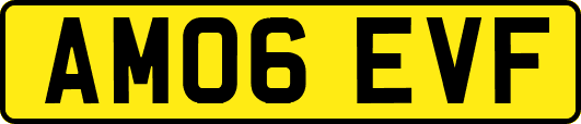 AM06EVF
