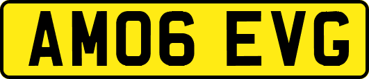 AM06EVG
