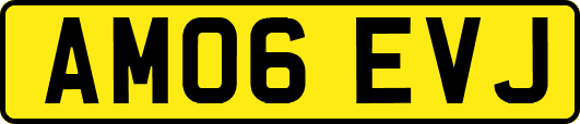 AM06EVJ