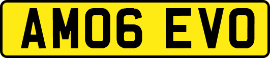 AM06EVO
