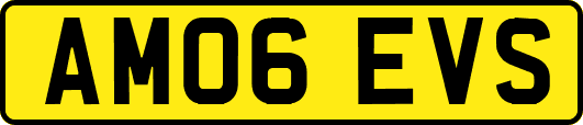 AM06EVS