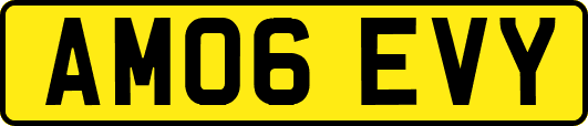 AM06EVY