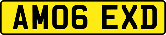 AM06EXD