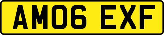 AM06EXF