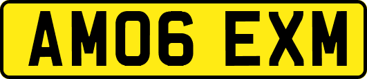 AM06EXM