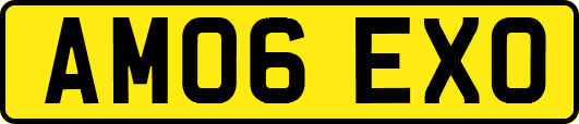 AM06EXO