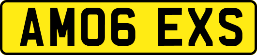 AM06EXS