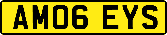 AM06EYS