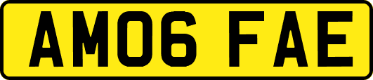AM06FAE