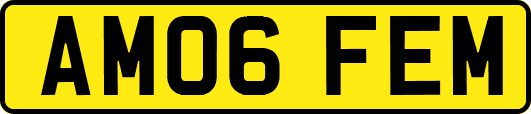 AM06FEM