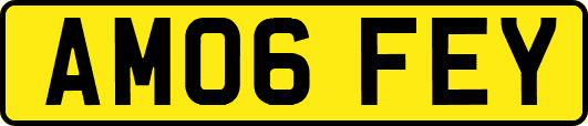 AM06FEY