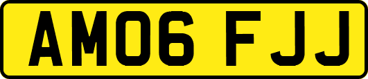AM06FJJ