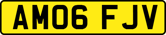 AM06FJV