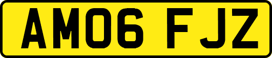 AM06FJZ