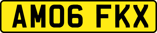 AM06FKX