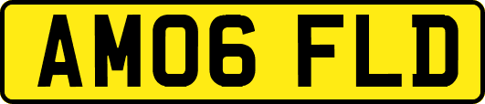 AM06FLD