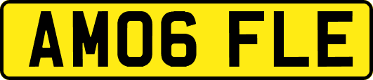 AM06FLE