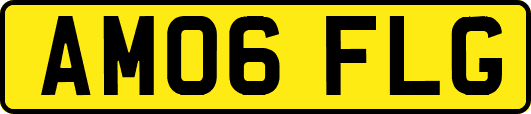 AM06FLG