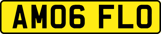 AM06FLO