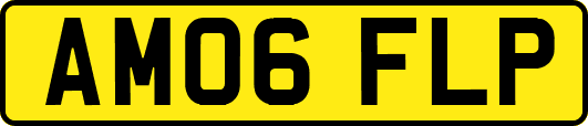 AM06FLP