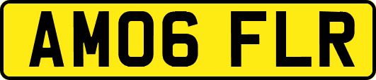 AM06FLR