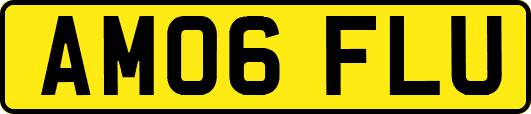 AM06FLU