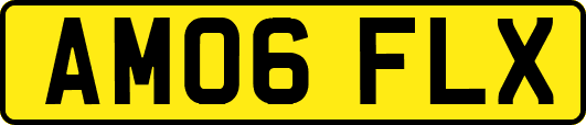 AM06FLX