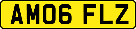AM06FLZ
