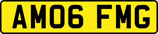 AM06FMG