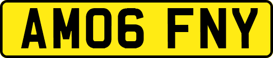 AM06FNY