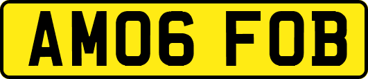 AM06FOB