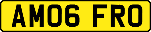 AM06FRO