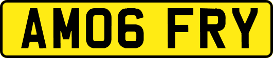 AM06FRY