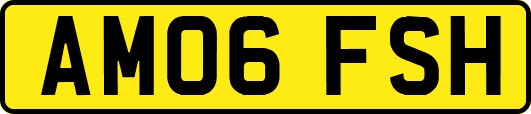 AM06FSH