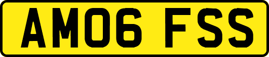 AM06FSS