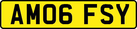 AM06FSY