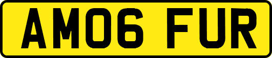 AM06FUR