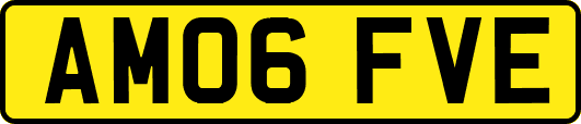 AM06FVE