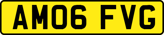 AM06FVG