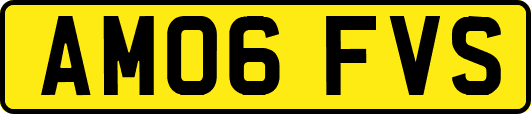 AM06FVS