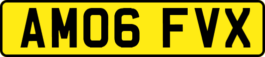 AM06FVX