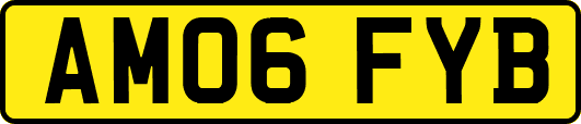 AM06FYB