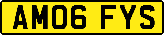AM06FYS