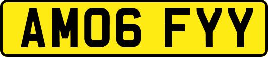 AM06FYY