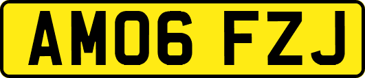 AM06FZJ