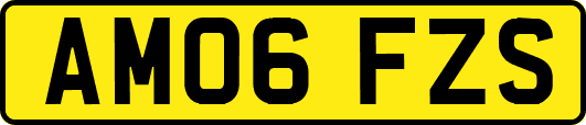 AM06FZS