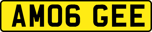 AM06GEE