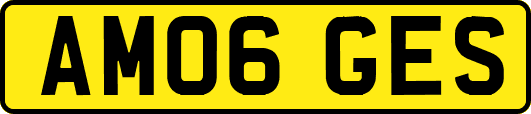 AM06GES