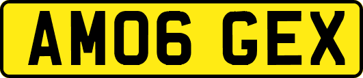 AM06GEX