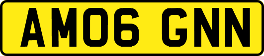 AM06GNN